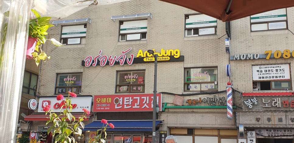 알로이 짱 이미지