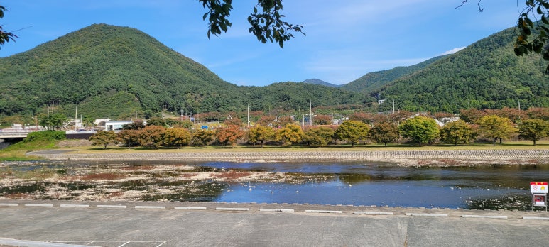 마실커피옥곡점 이미지