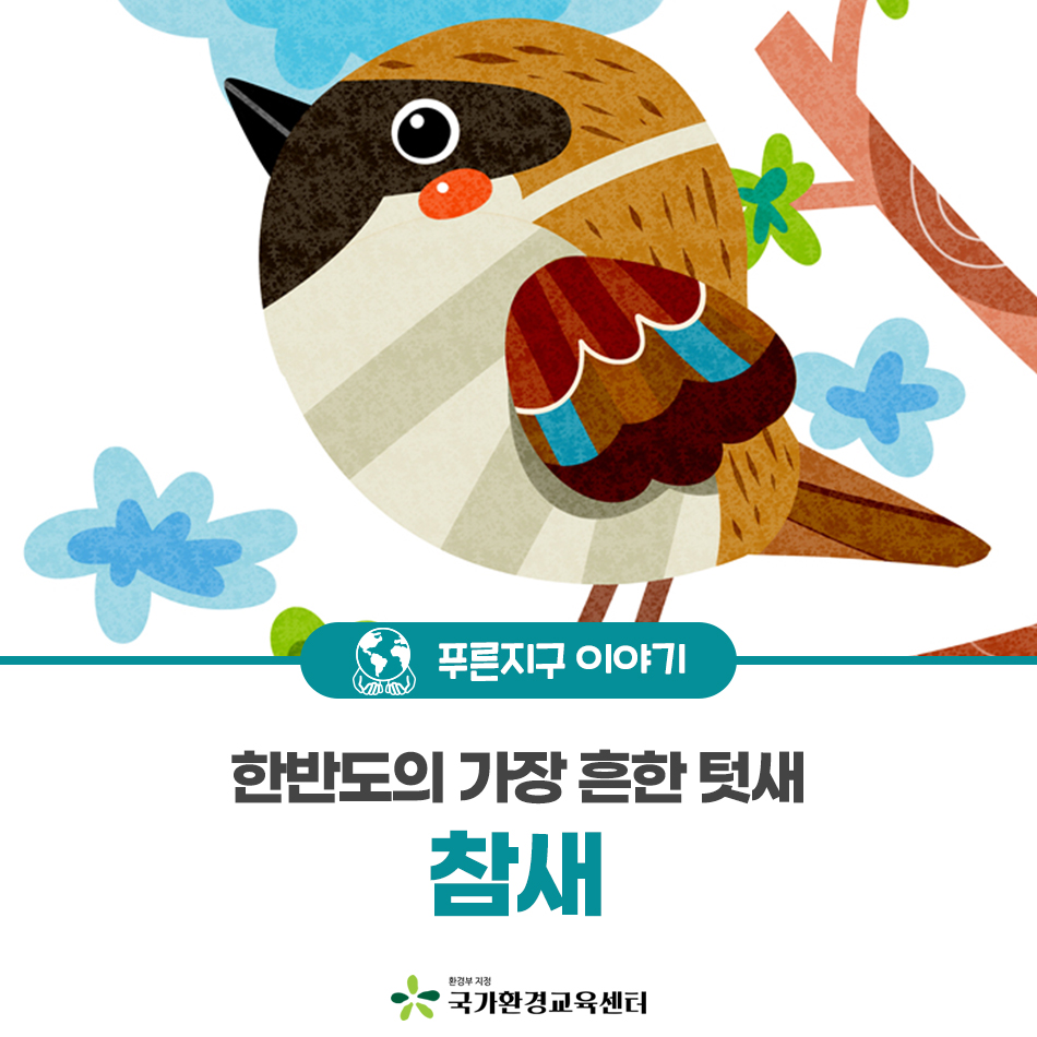 아침일찍일어나는참새 이미지