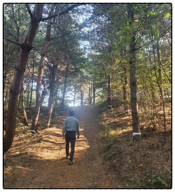 연천미라클타운 이미지