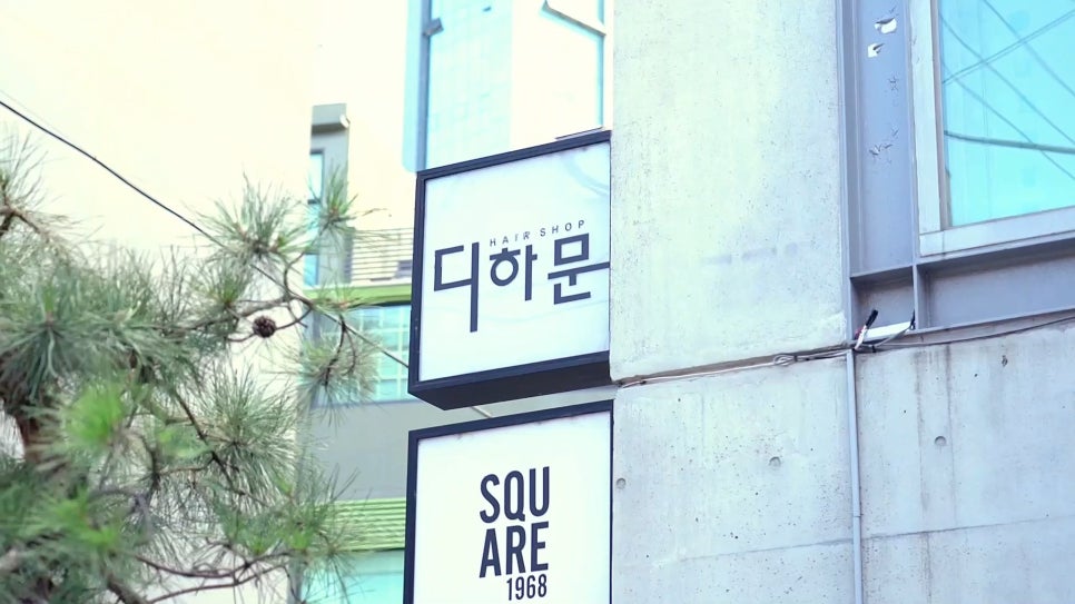 디하문바이공주 이미지