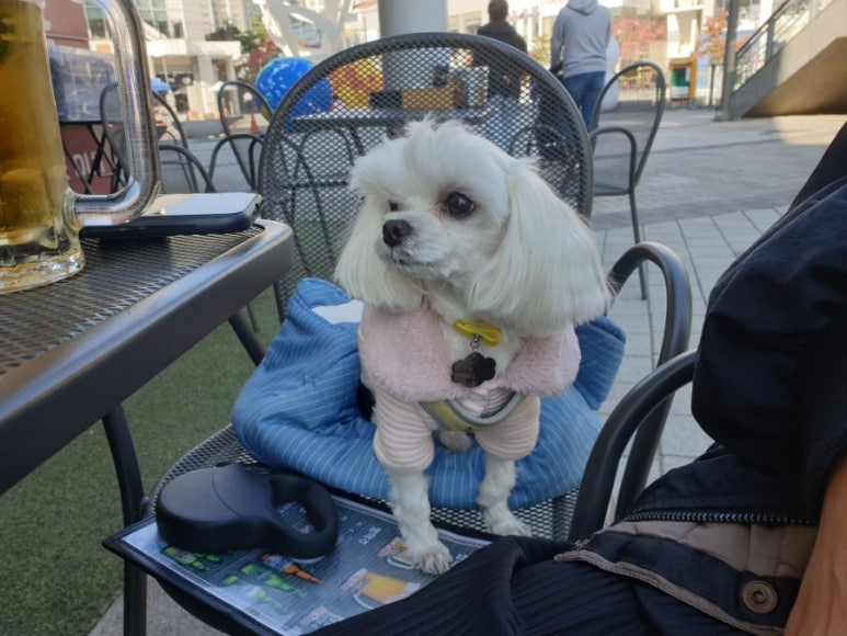 쁘니포차 이미지