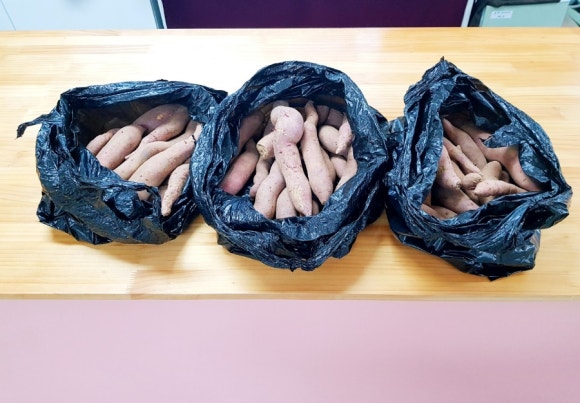 늘푸른세상(주) 이미지