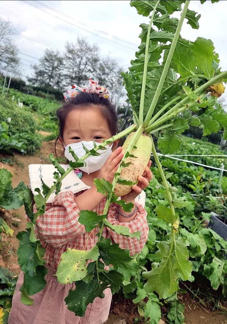 뽑아봅세 이미지
