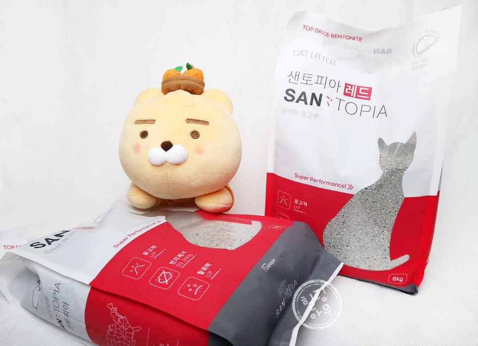 (주)랩토피아 이미지