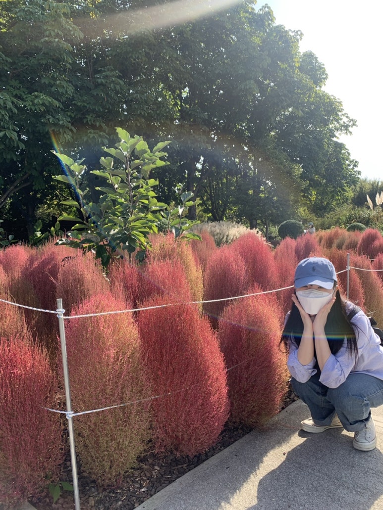 진션 이미지