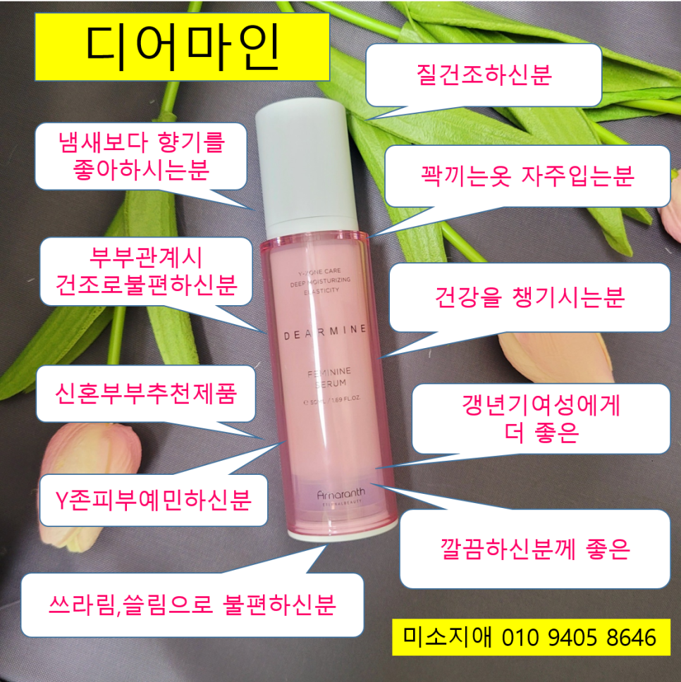 피누스스토어 일류 이미지