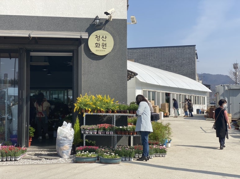 청산화원 이미지