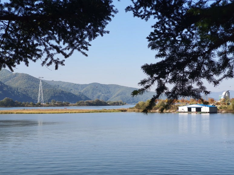 여행사우 이미지