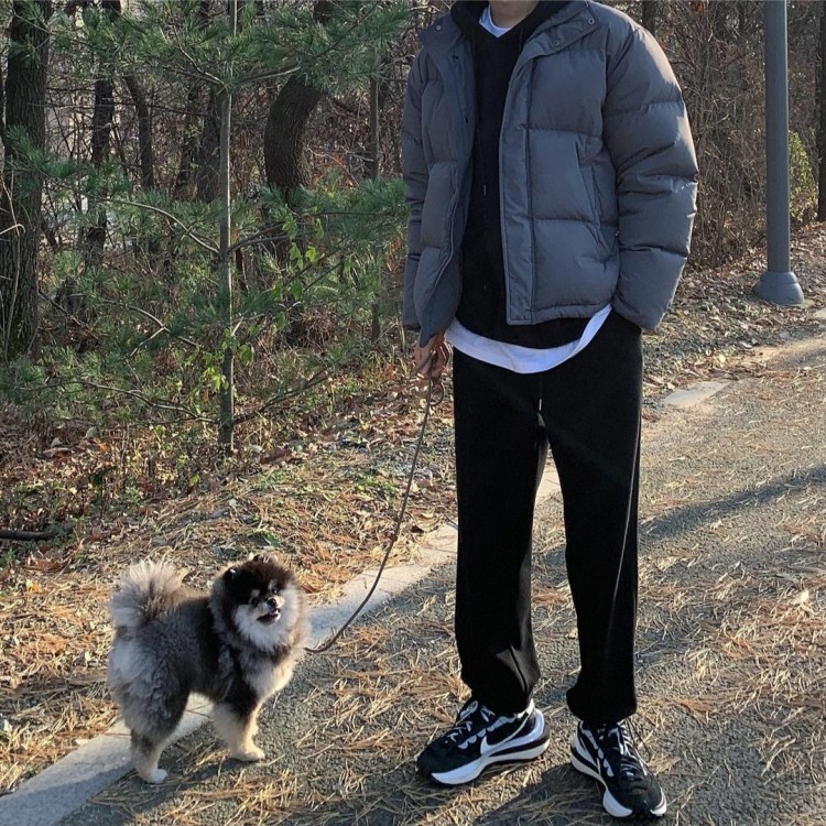 혜안 이미지