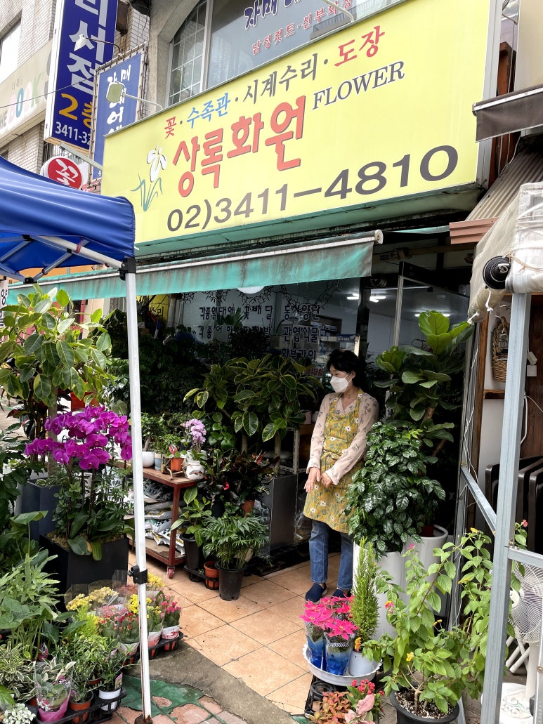 상록화원 이미지