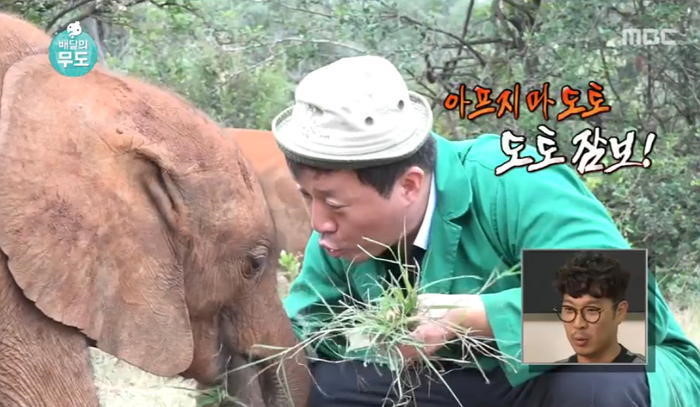 플레이토이 이미지