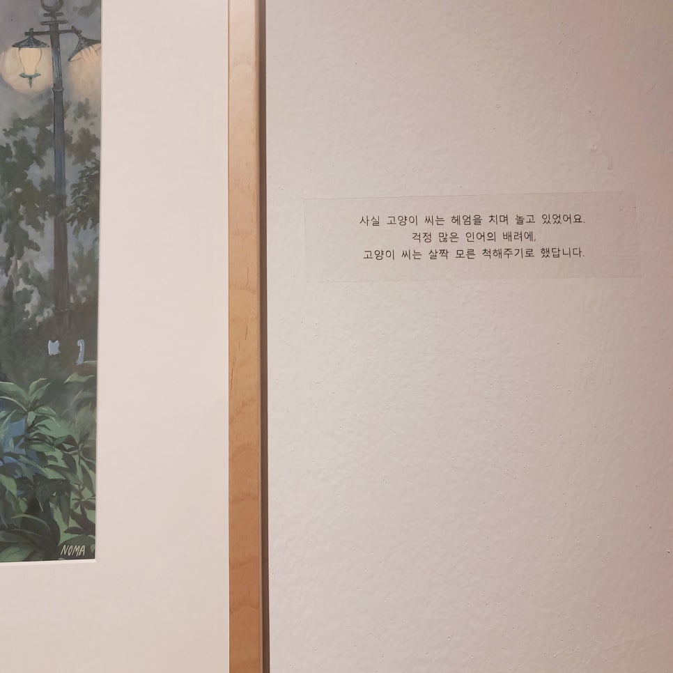 NOMA(노마) 이미지