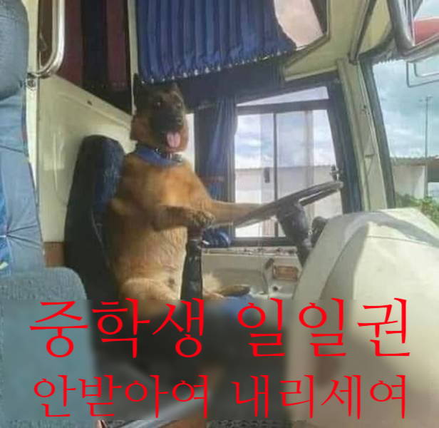 위키스터디 이미지