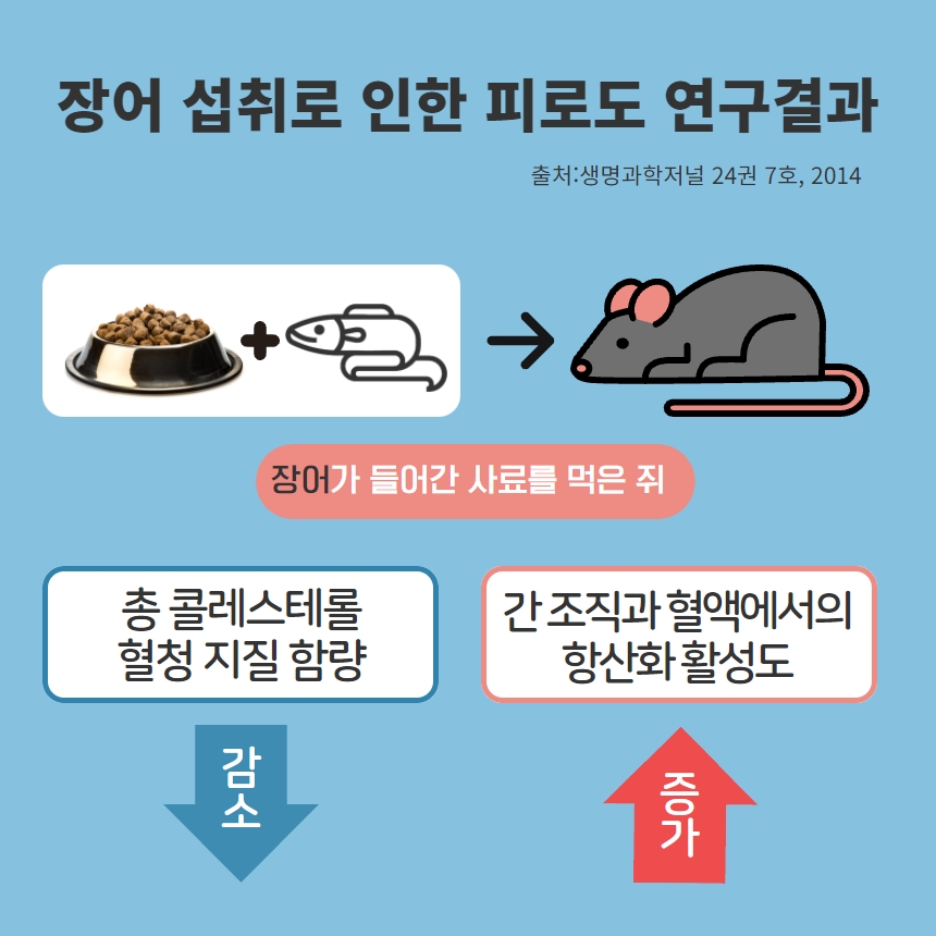 비티나인 이미지