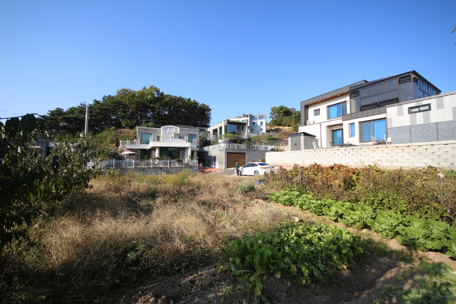 바로건축 이미지