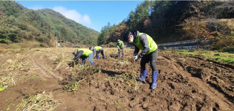 대하축산 이미지