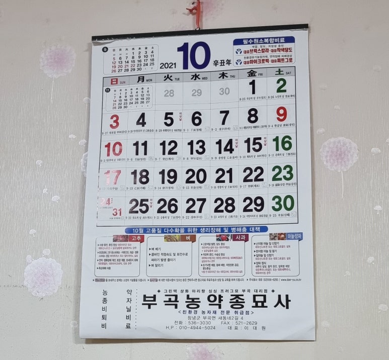 부곡농약종묘사 이미지