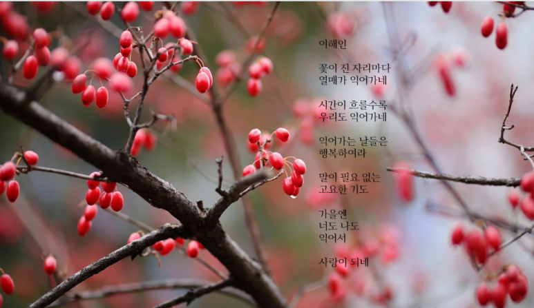 단비디자인 이미지