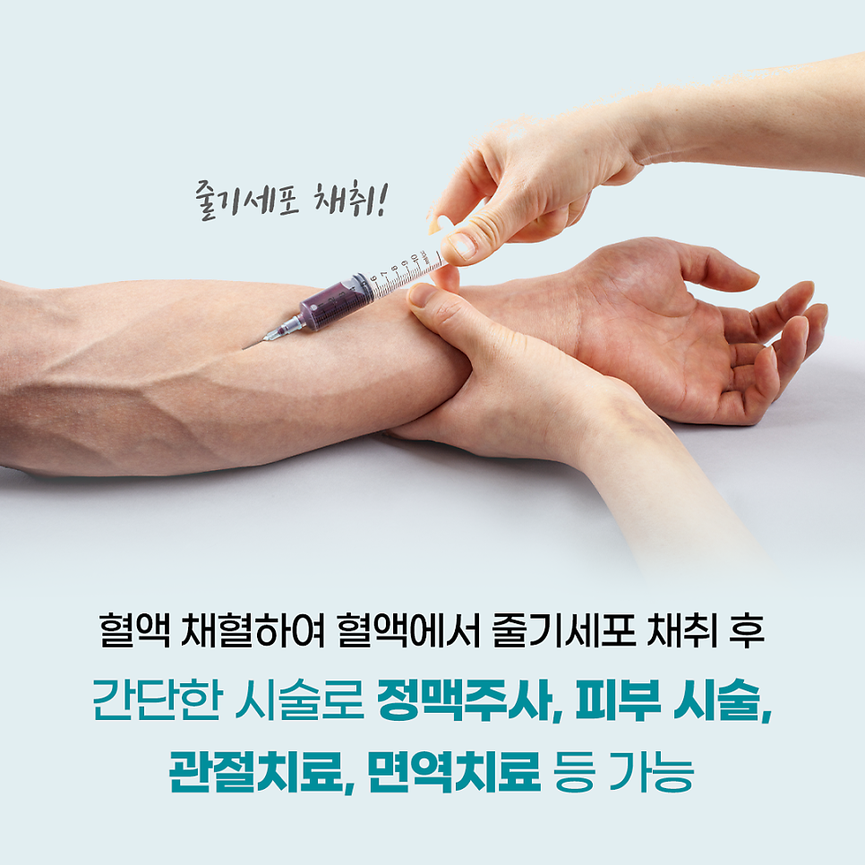 라온셀의원 이미지