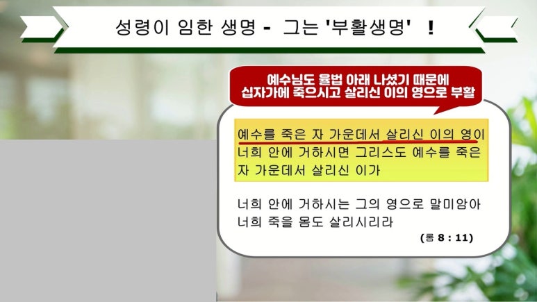 삼일영이 이미지