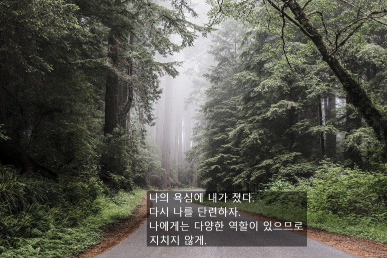 더아트펌주 이미지