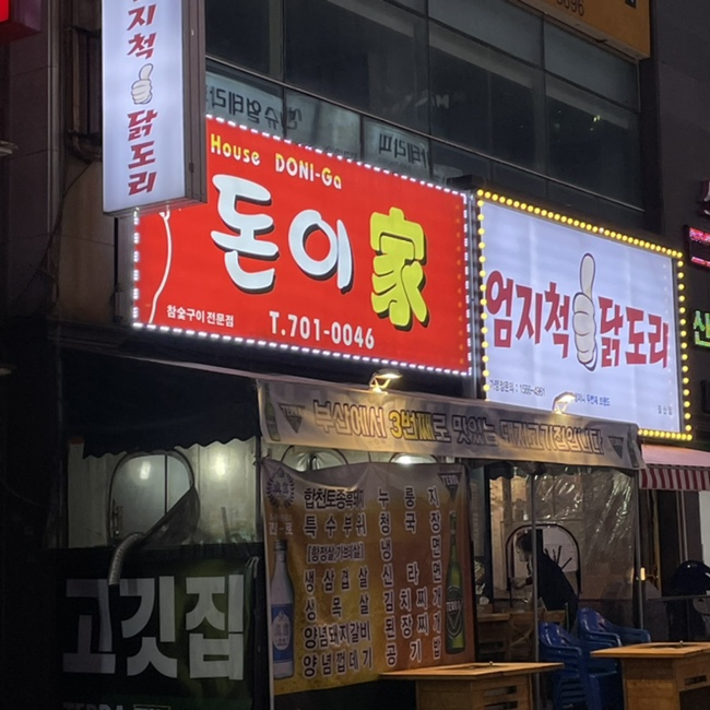돈이가 이미지