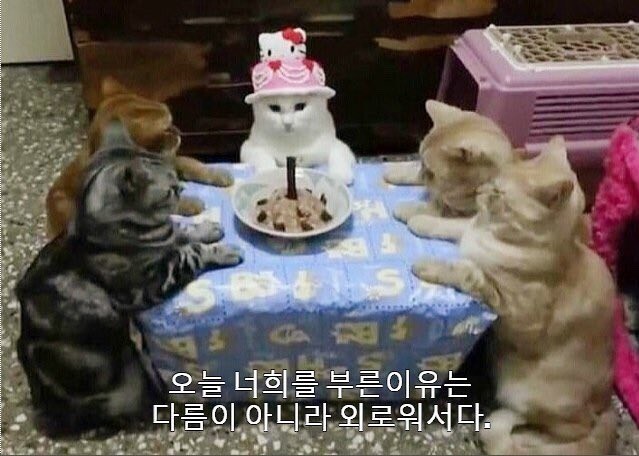 언포모 이미지