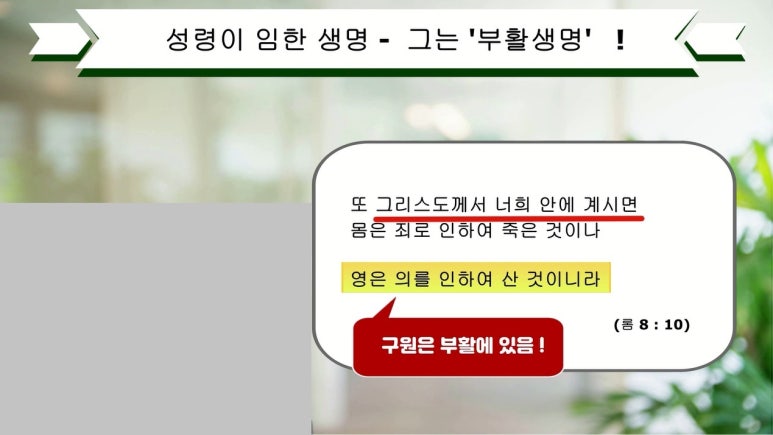 삼일영이 이미지