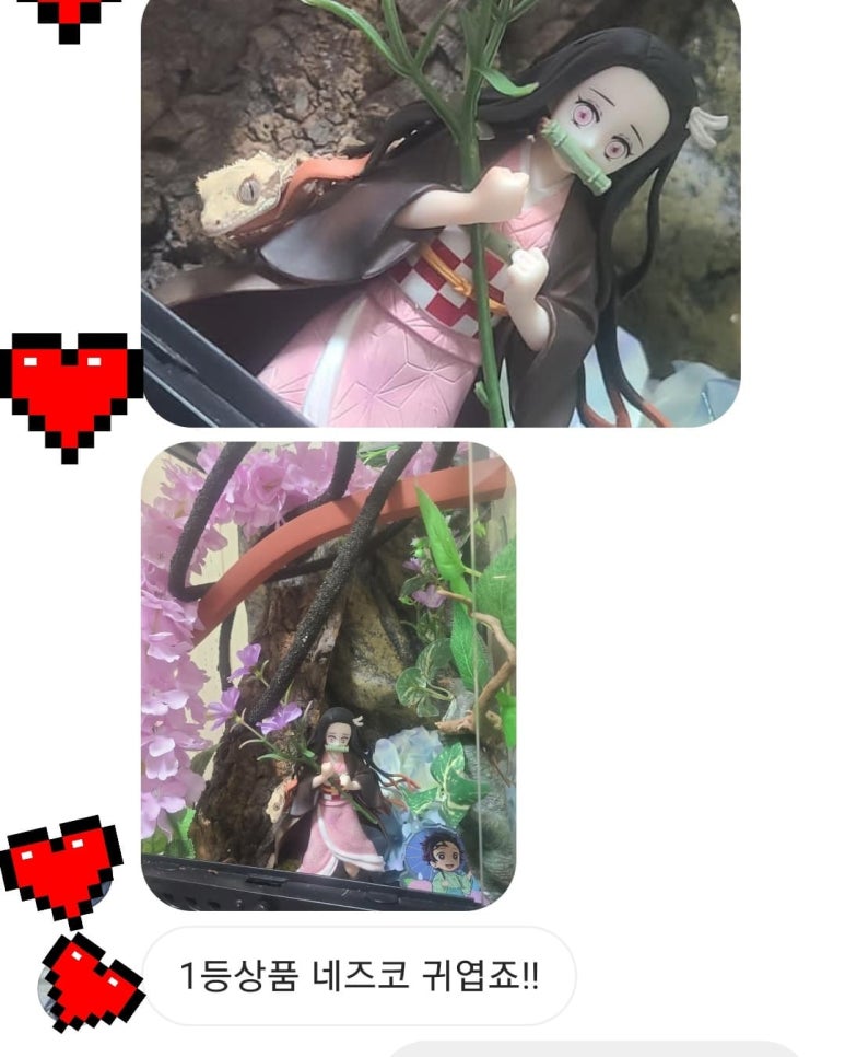 금손복권 이미지