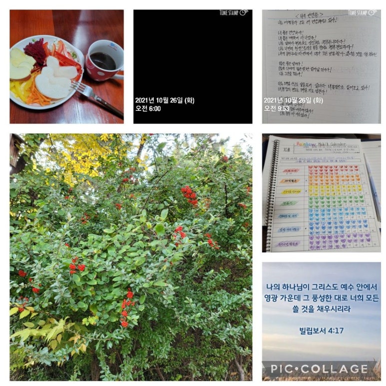 멘토파트너즈 이미지