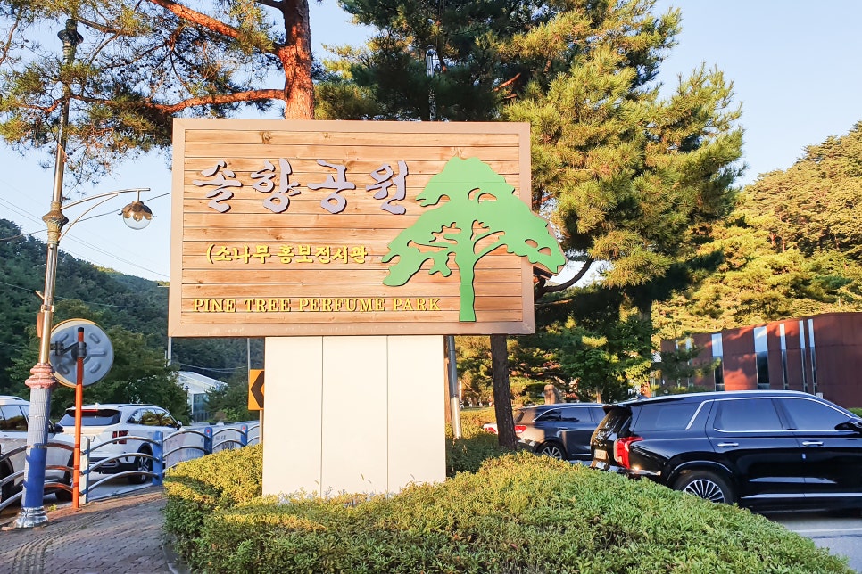 보은바이크 이미지