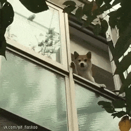 다겸이가구 이미지