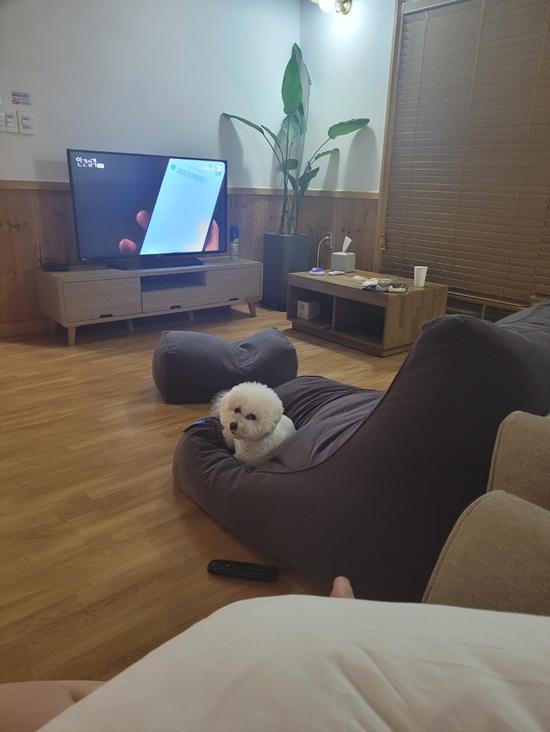 옥천산방라온 이미지