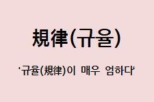 제제독서실 이미지