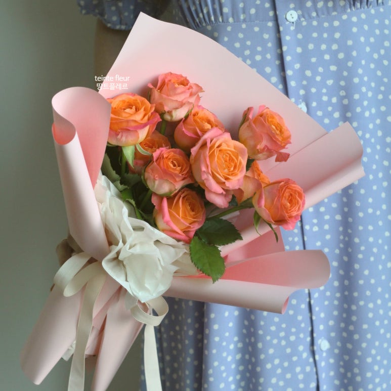 땅트플레르 이미지