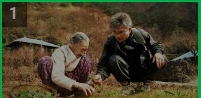 더참맛푸드 이미지