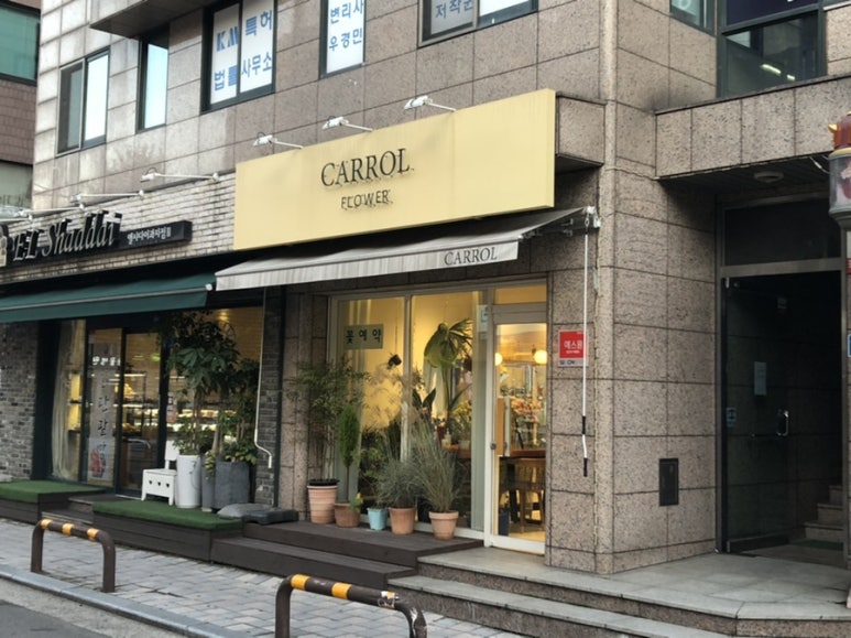 캐롤플라워 이미지