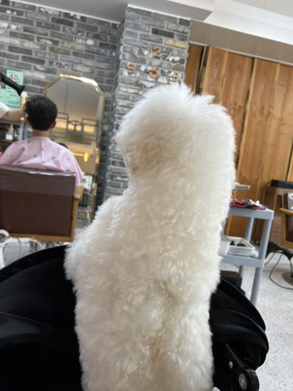 파파존스피자 남구점 이미지