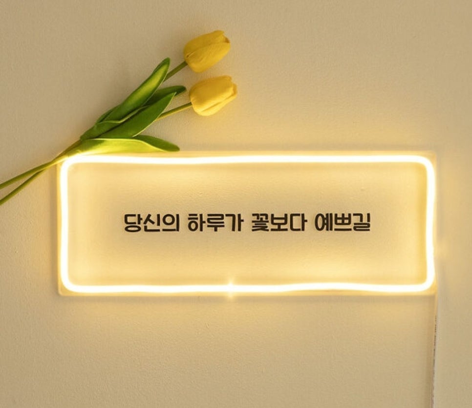 선한 인셀덤 이미지