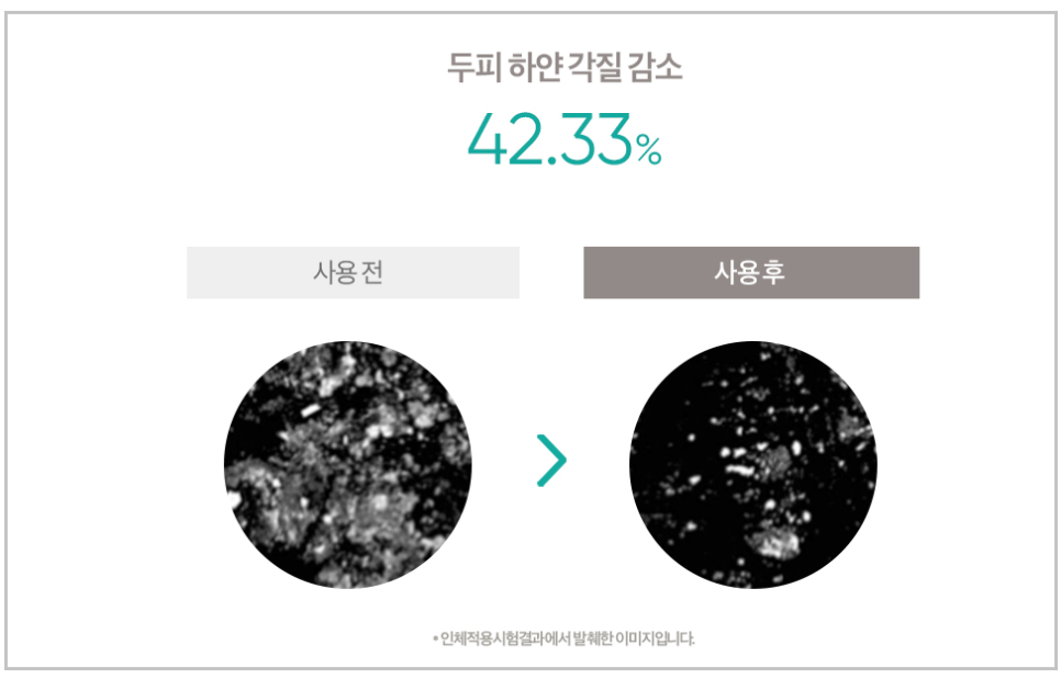 김태희헤어 이미지