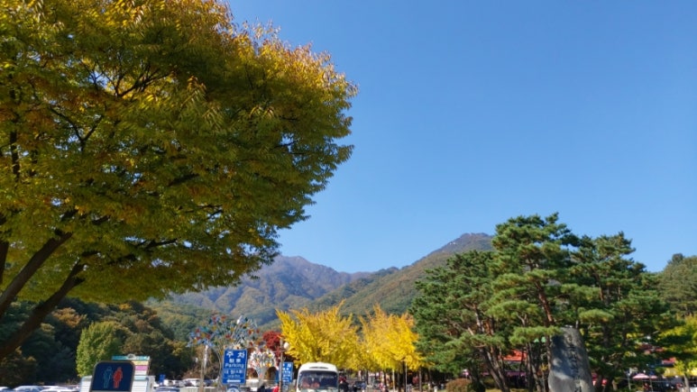 롯데한식부페 이미지