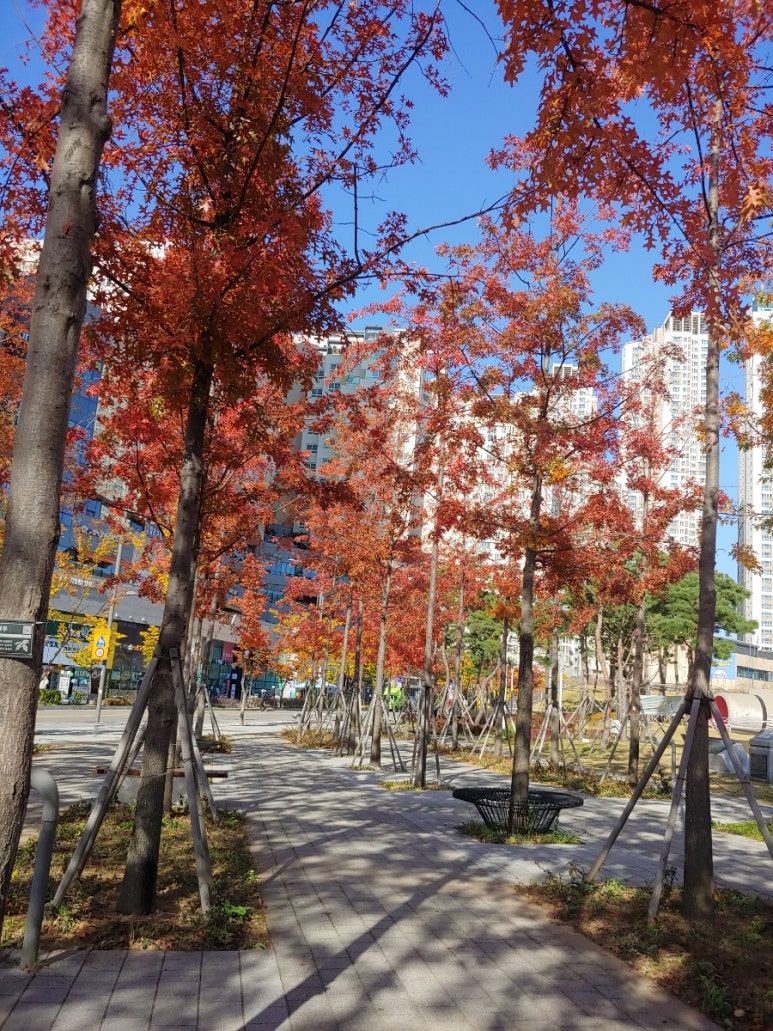 성수동꿀꽈베기 이미지