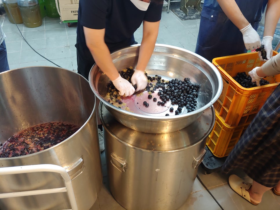 삼해소주 이미지