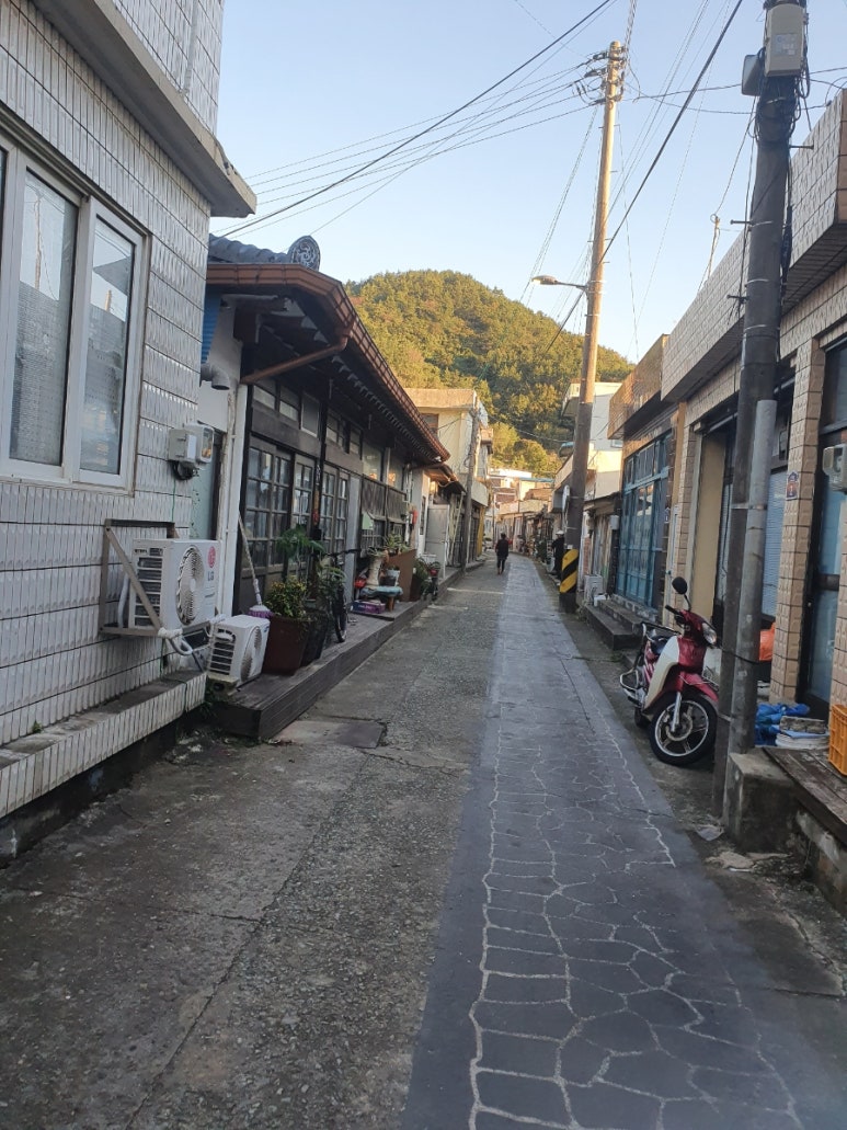 거시기호프 이미지
