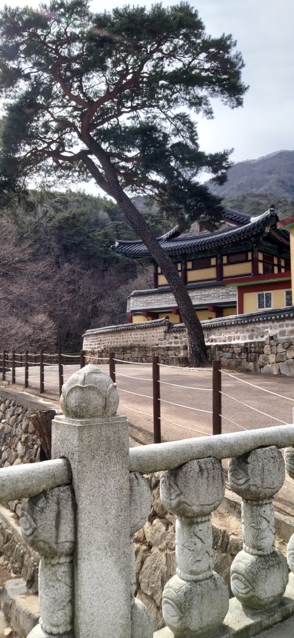 노무법인 와이즈 이미지