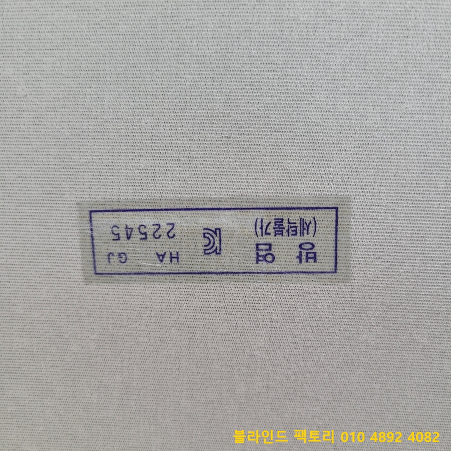 대전실사 이미지