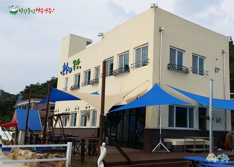 영농조합법인소백밀크 이미지