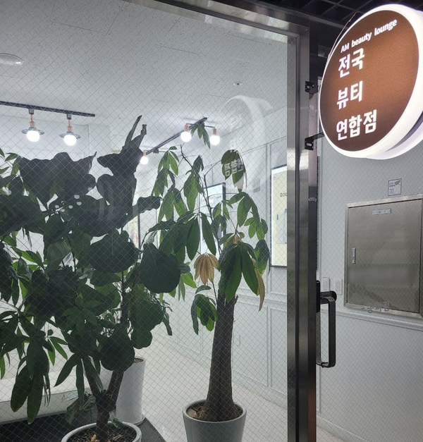 에이엠컨설팅 이미지