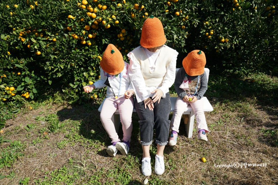 탐나는팜 이미지